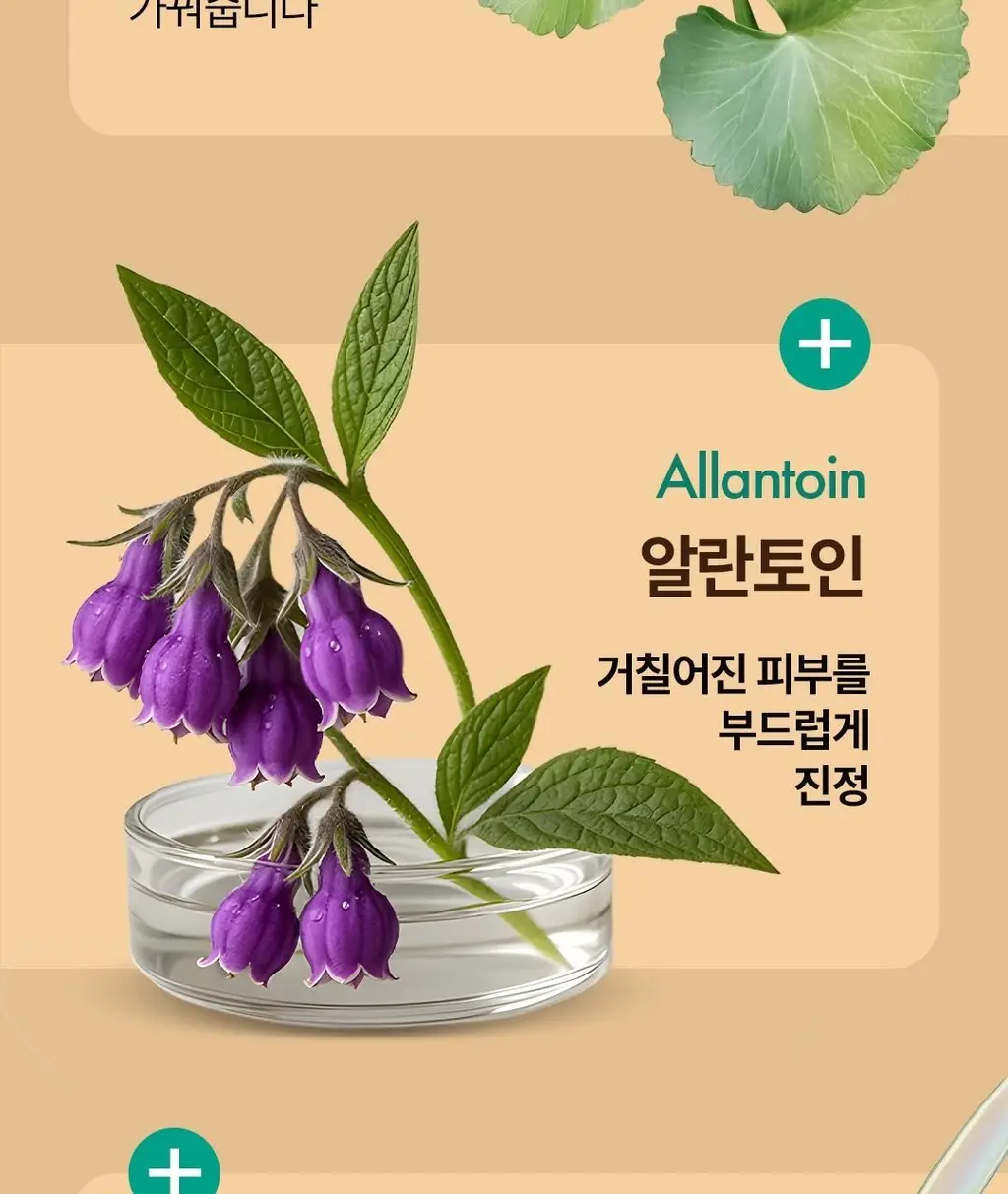 몽잘 비드부들 스크럽 바디워시 500g 단품/기획 (천연 호두 비드 함유) 상세페이지 33