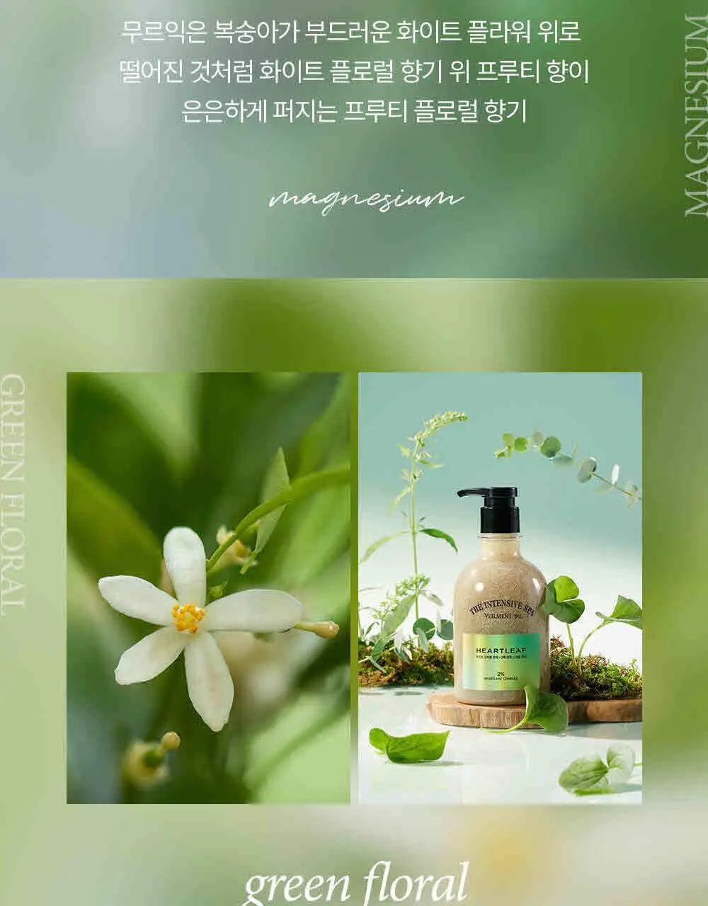 벨먼 인텐시브 스파 스크럽 바디워시 400ml 4종 택1(단품/괄사 기획) 상세페이지 20