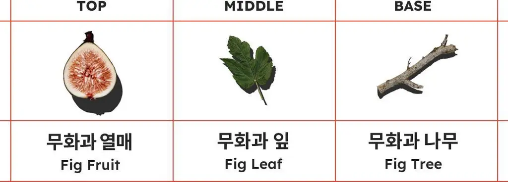 스카이보틀 퍼퓸 바디워시 300ml 3종 상세페이지 12