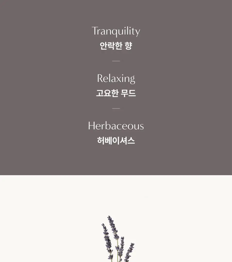 아로마티카 서렌 바디워시 라벤더&마조람 300ml 상세페이지 3