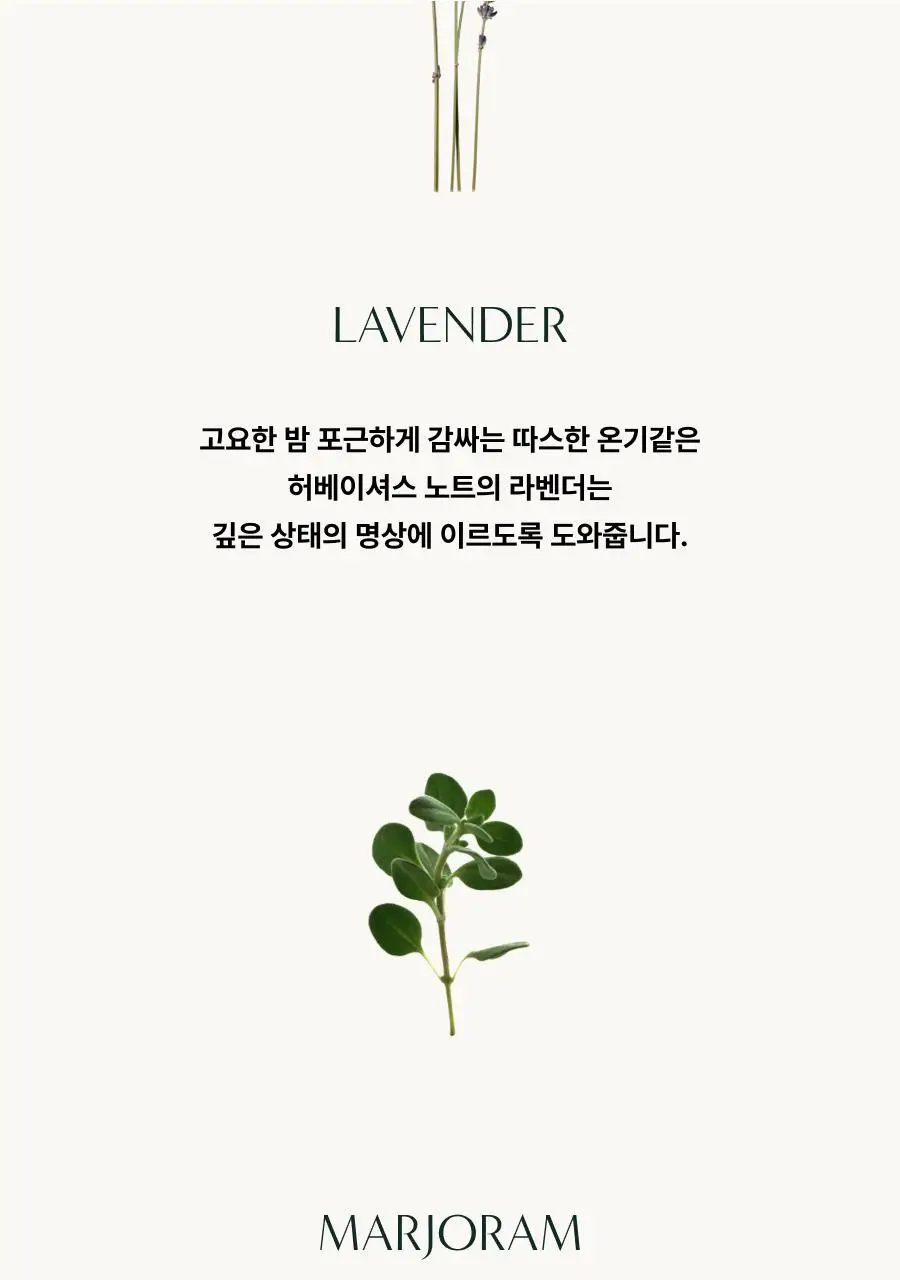 아로마티카 서렌 바디워시 라벤더&마조람 300ml 상세페이지 4
