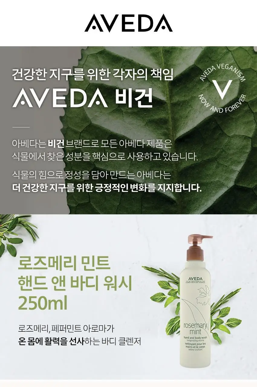 아베다 로즈메리 민트 핸드 앤 바디 워시 250ML 상세페이지 3