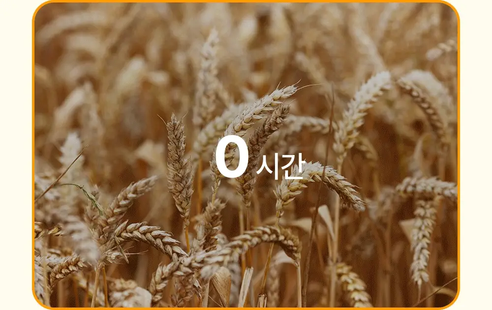 아토팜 키즈 프레쉬 버블 샤워 패드 10.4g (5개입) 상세페이지 30