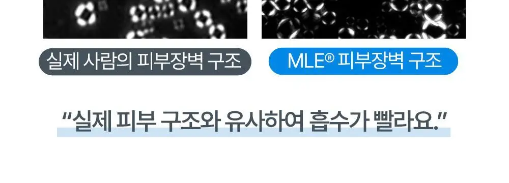 아토팜 탑투토 워시 300ml 기획(300ml+리필250ml) 상세페이지 32