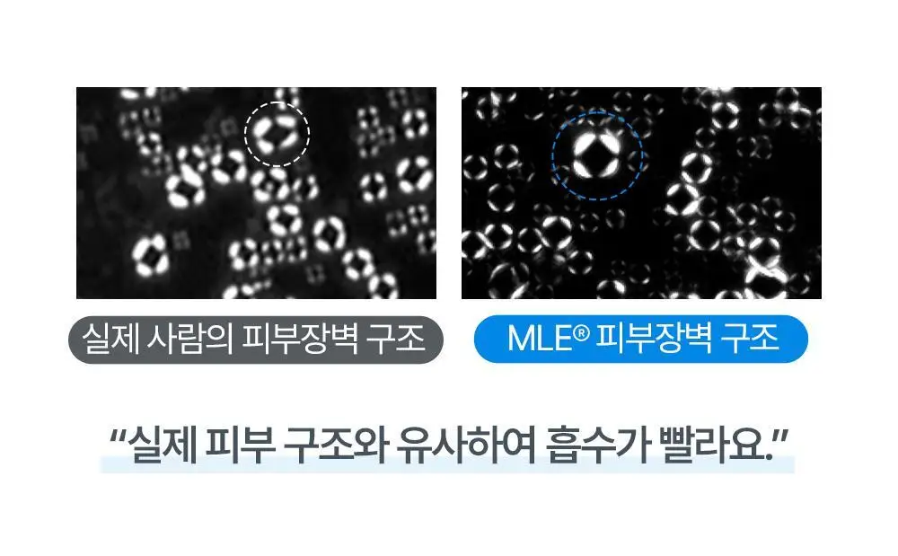 아토팜 페이셜 폼 워시 150ml 상세페이지 22