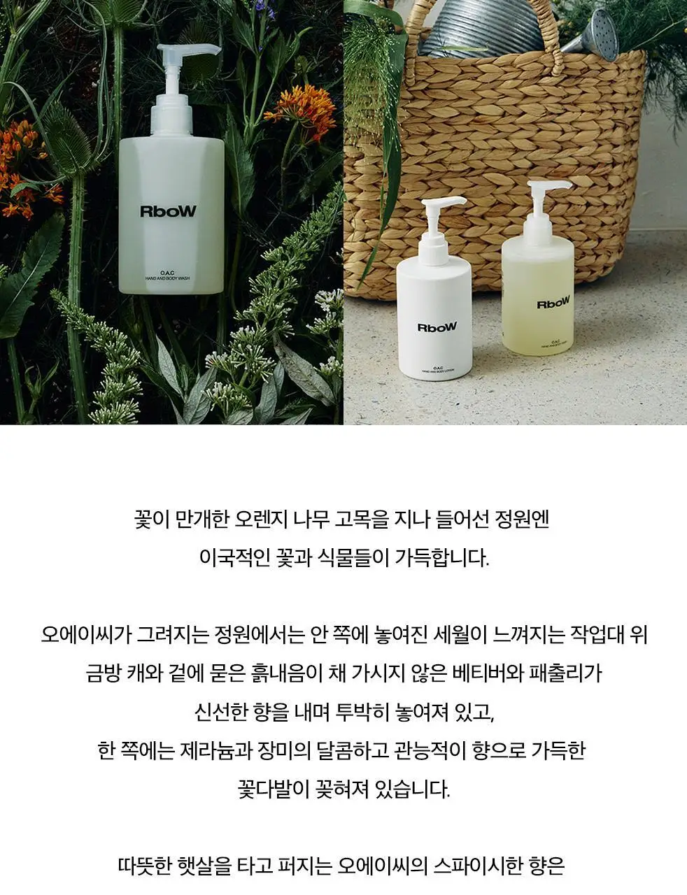 알보우 핸드 앤 바디워시 300ml 3종 택 1 상세페이지 5
