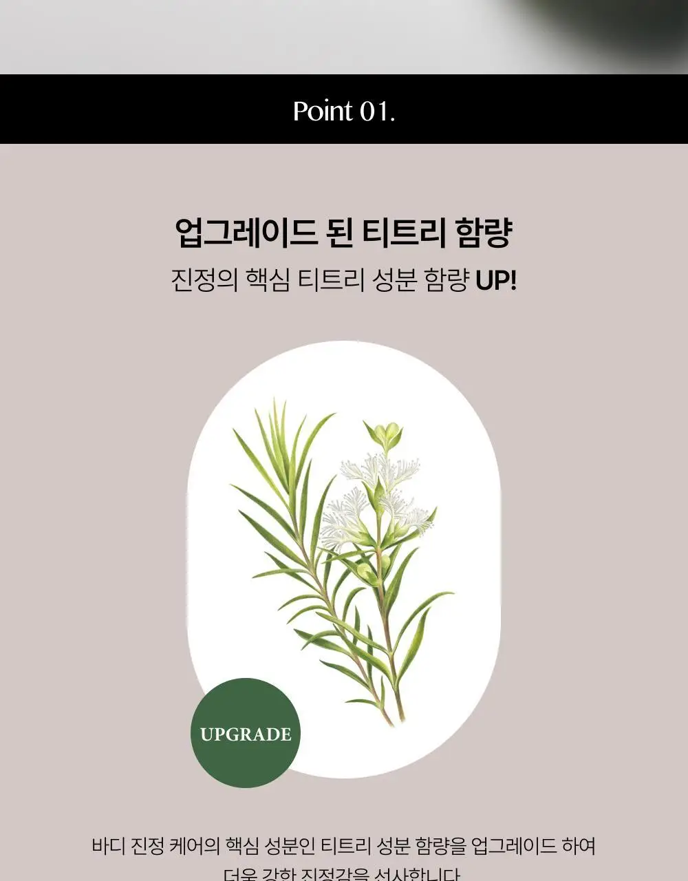 에센허브 티트리 아크네 데일리 워시 500ml 기획(+샤워볼 증정) 상세페이지 2