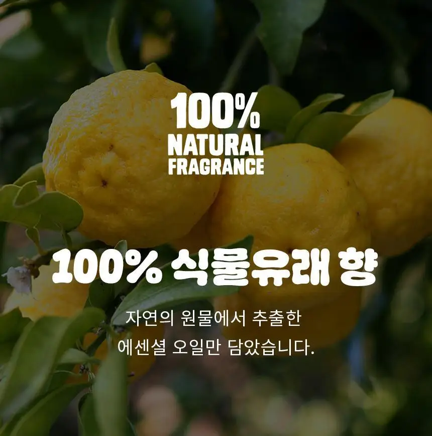 오리지널소스 레몬 티트리 샤워젤 250ml 상세페이지 22