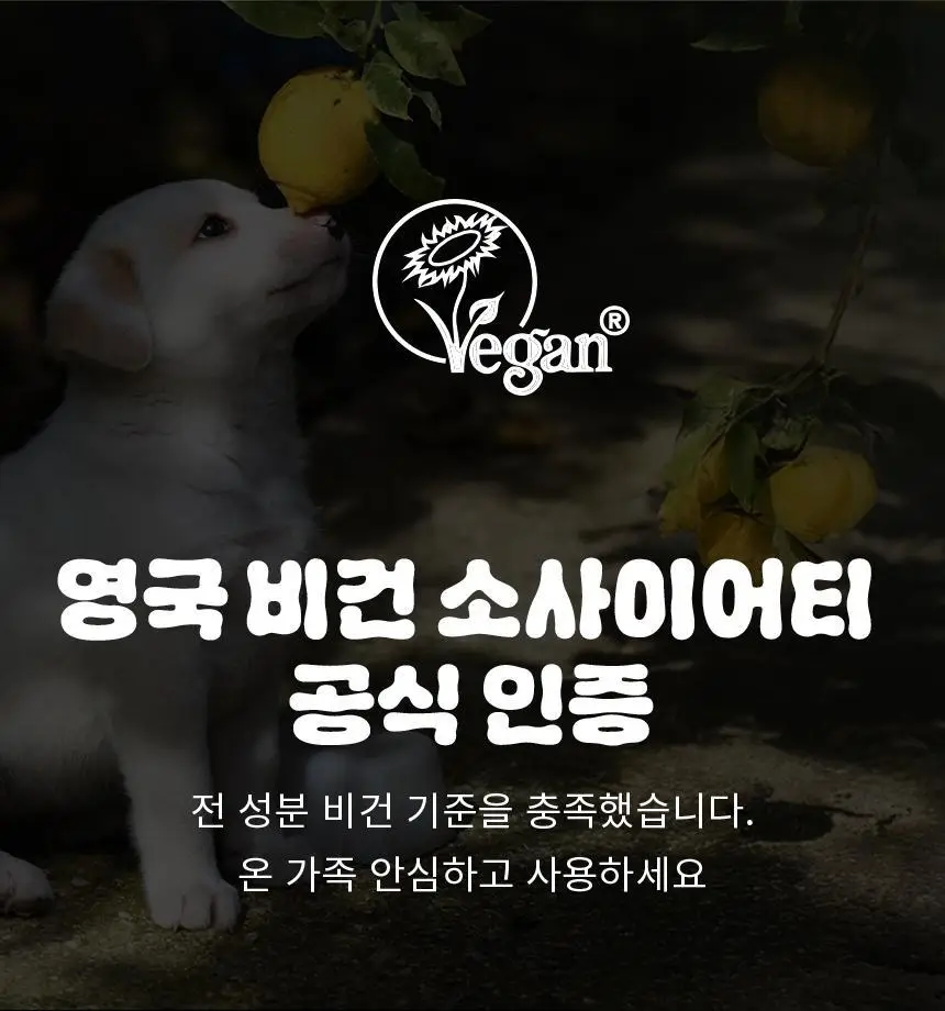 오리지널소스 레몬 티트리 샤워젤 250ml 상세페이지 23