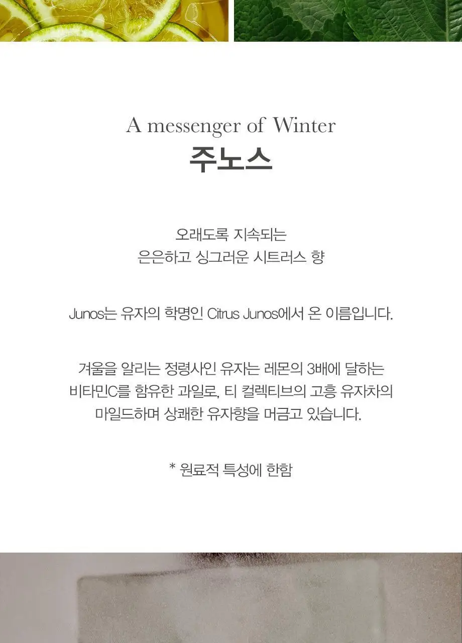 티컬렉티브 바디워시 280ml 2종 택 1 (아르테미스/주노스) 상세페이지 6