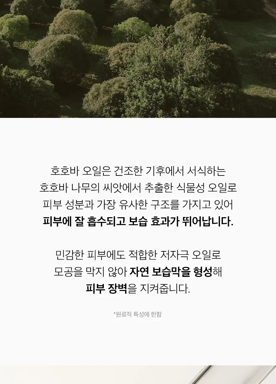 W.DRESSROOM 퍼퓸 바디워시 500ml 2종 택 1 상세페이지 4