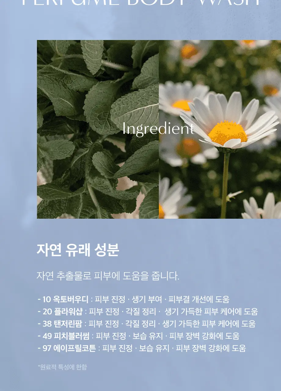 W.DRESSROOM 퍼퓸 바디워시 500ml 2종 택 1 상세페이지 13
