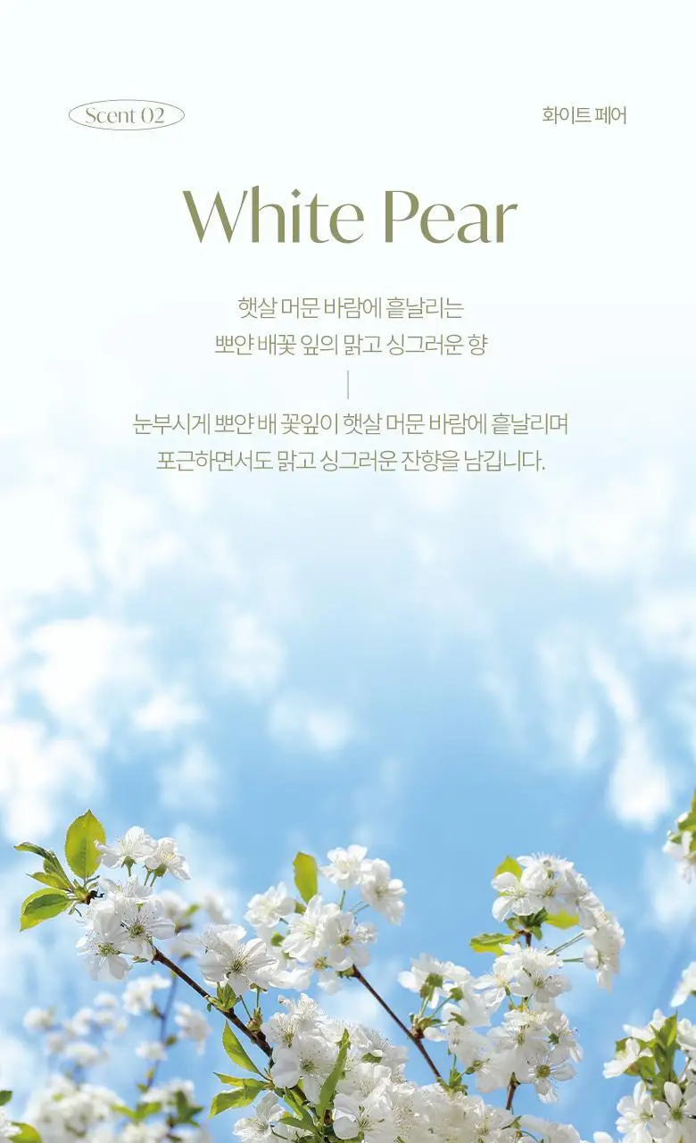 라운드어라운드 플라워 센티드 배쓰밤 80g 3종 상세페이지 11