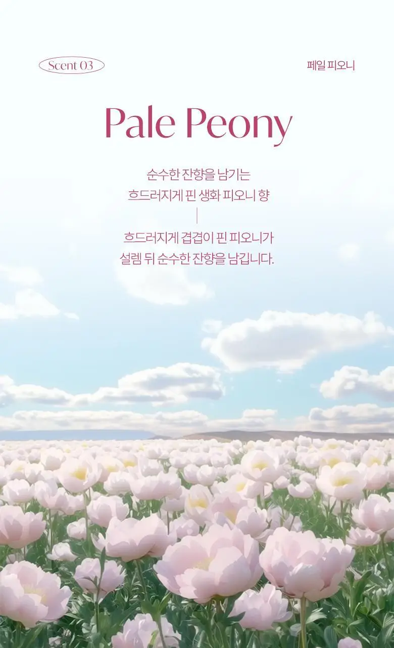 라운드어라운드 플라워 센티드 배쓰밤 80g 3종 상세페이지 14