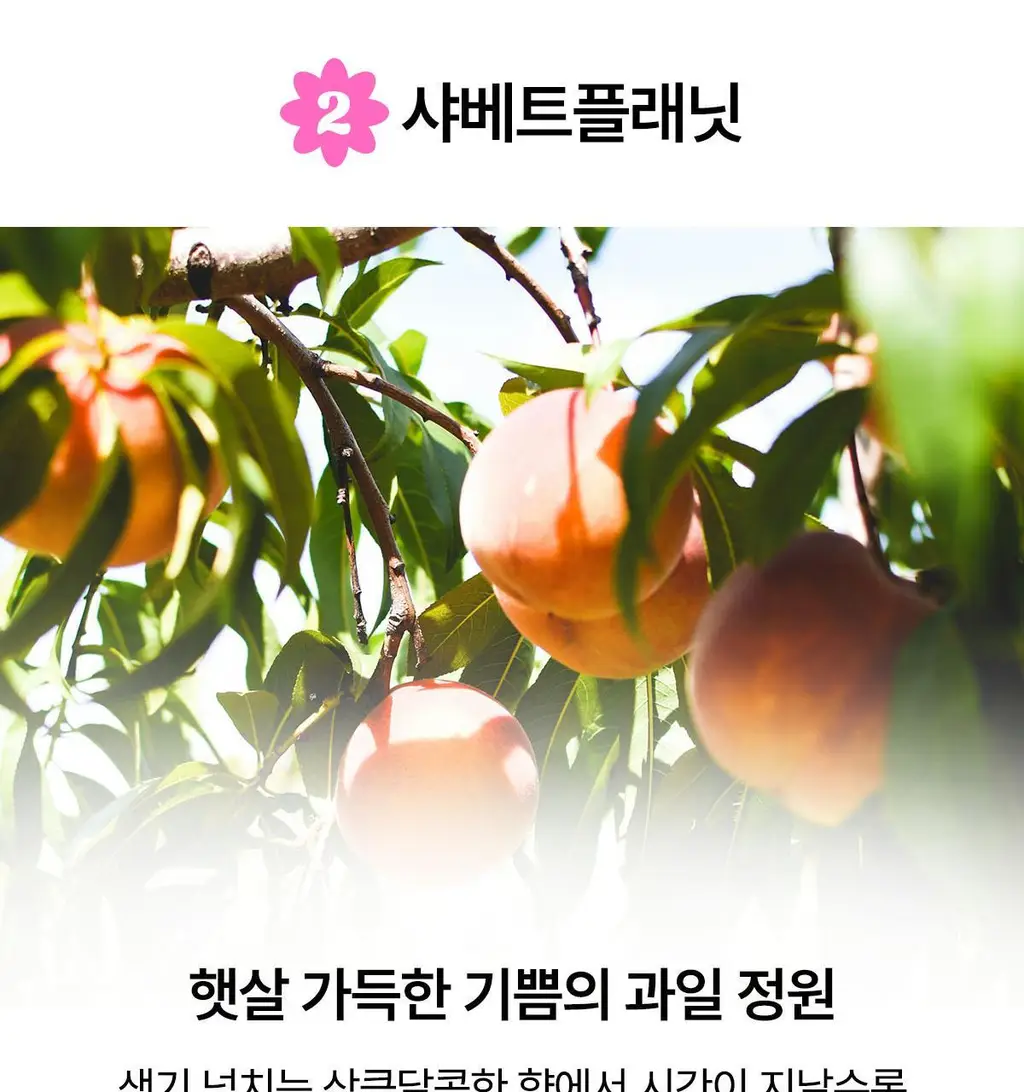 랩스밤 러브샷 배쓰밤 4종 선물세트(140gX4) 상세페이지 15