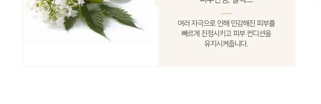 밤코스메틱 베스트 입욕제 탄산스파 2종세트-빈티지로즈힙/훌라훌라 상세페이지 10