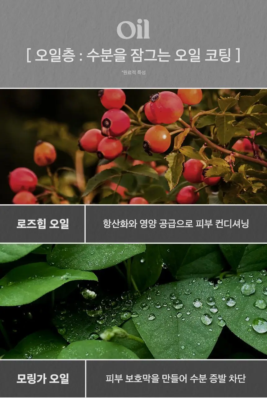 넛세린 아로마 넛 그레이 미스트 130ml 상세페이지 13