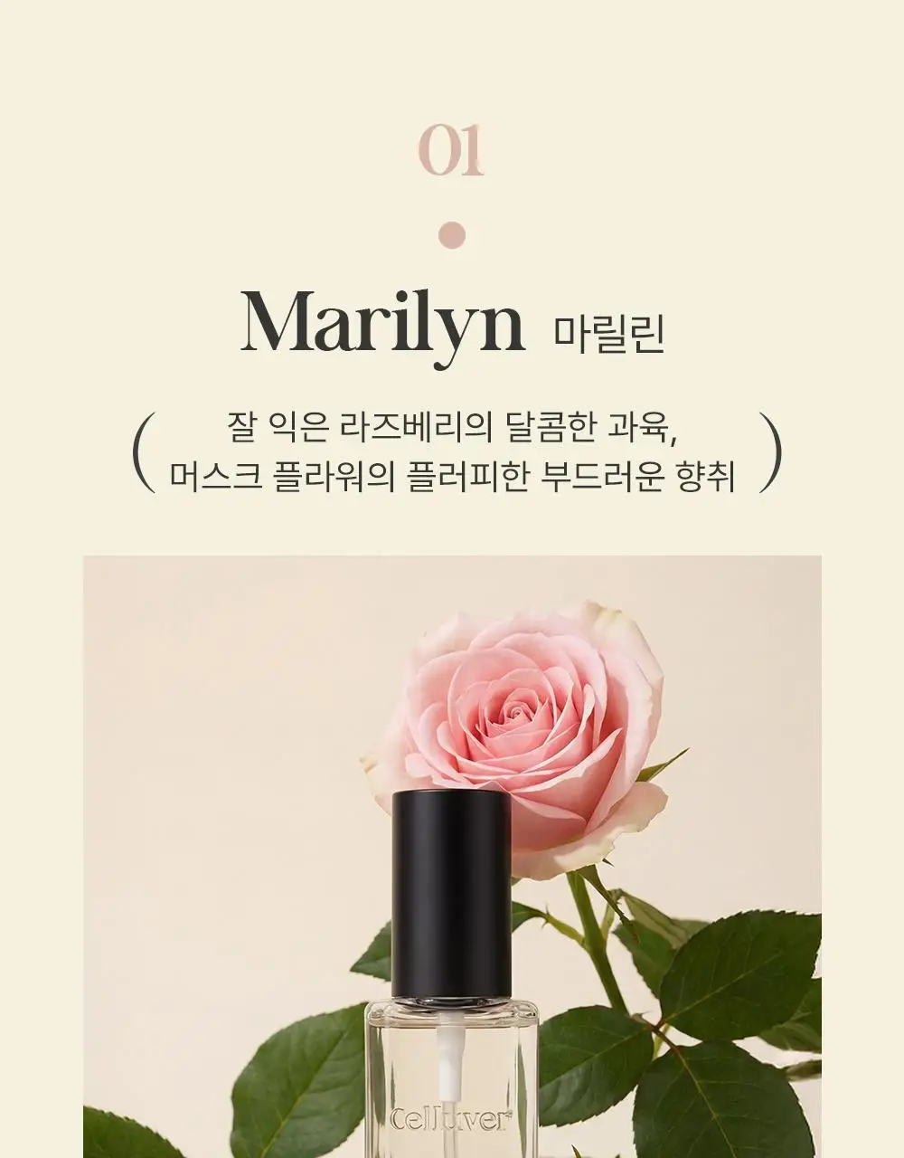 셀러버 바디스프레이 80ml(5가지향) 상세페이지 17
