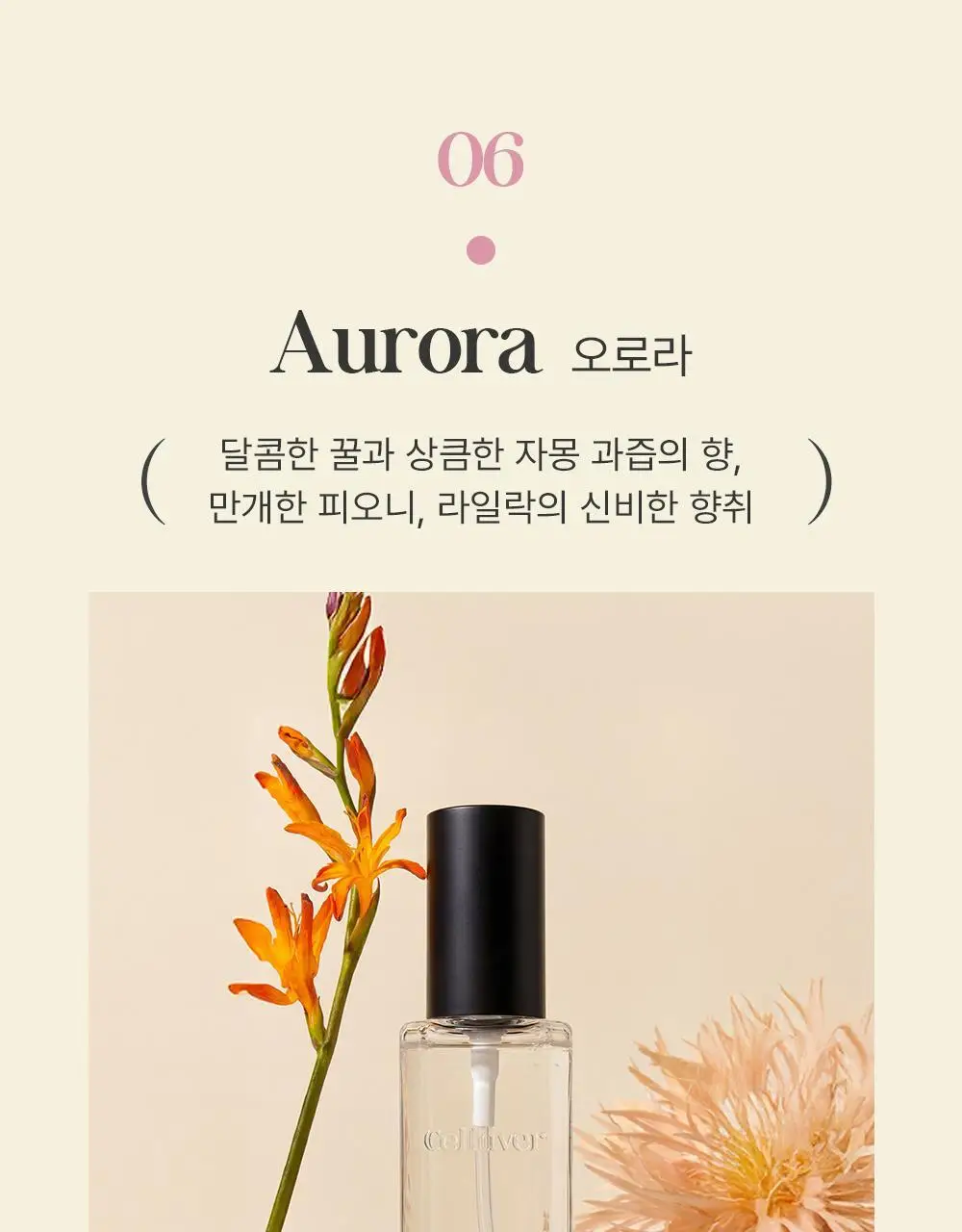 셀러버 바디스프레이 80ml(5가지향) 상세페이지 25