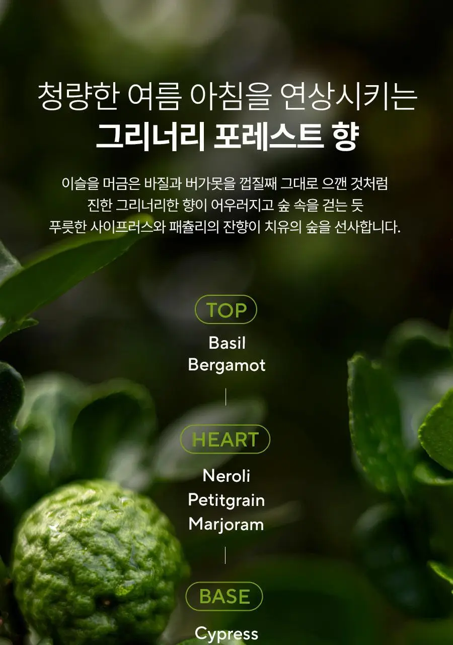 아로마티카 인스피릿 바디미스트 바질 앤 버가못 120ml 상세페이지 6