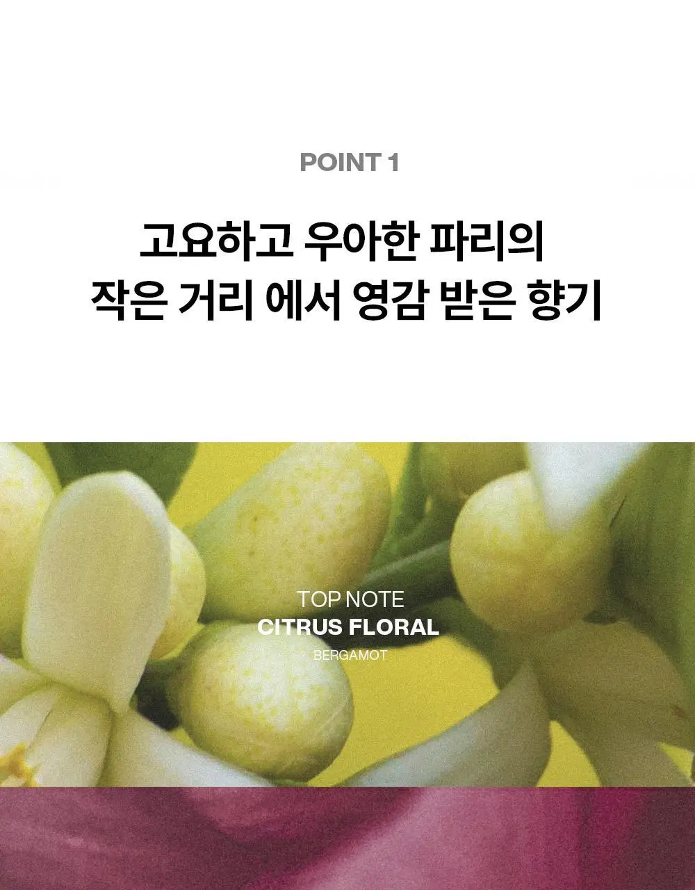 언라이프 데오 드 콘크리트 퍼퓸 스프레이 80ml 상세페이지 11
