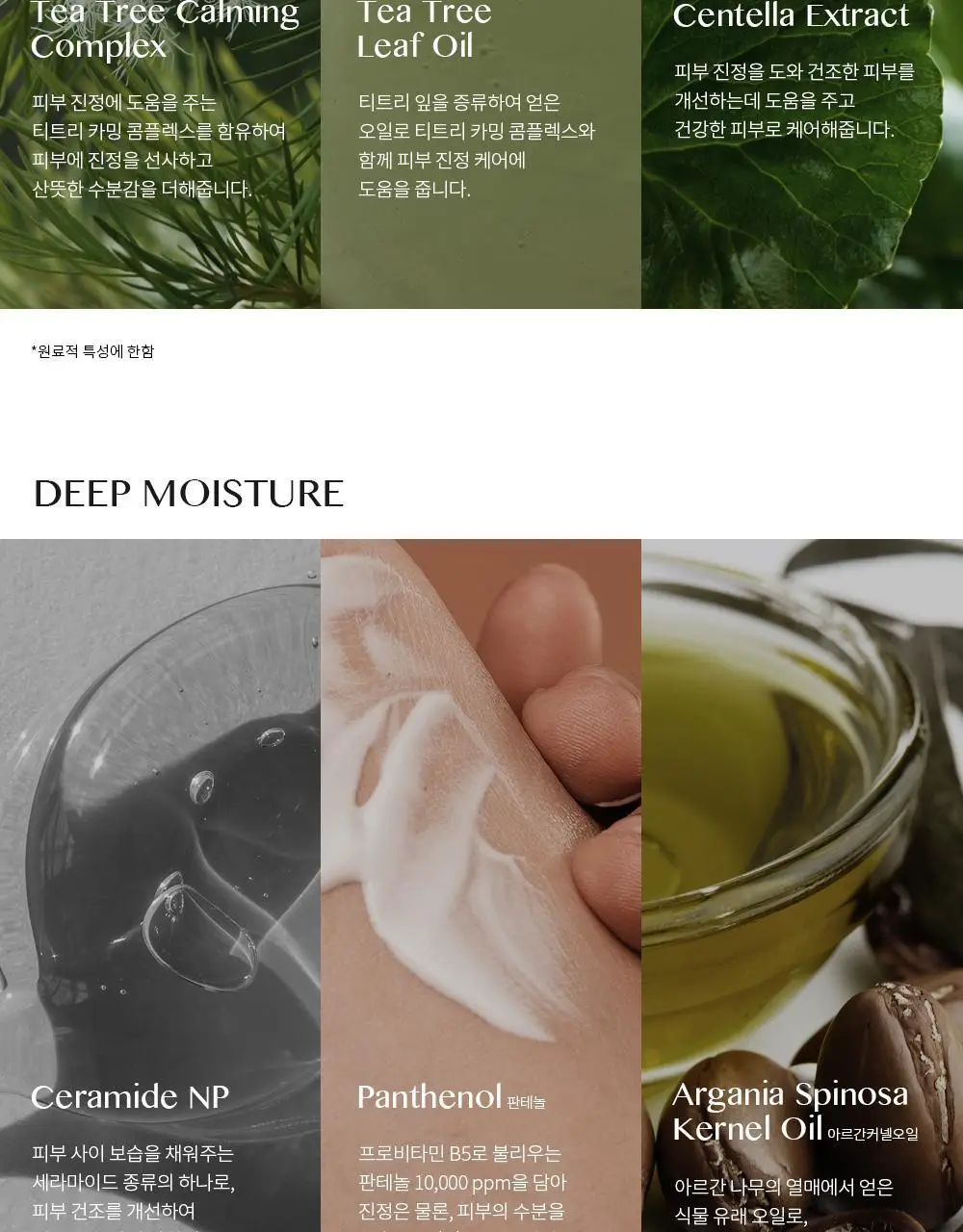 에센허브 티트리 바디 크림 미스트 130ml 상세페이지 5