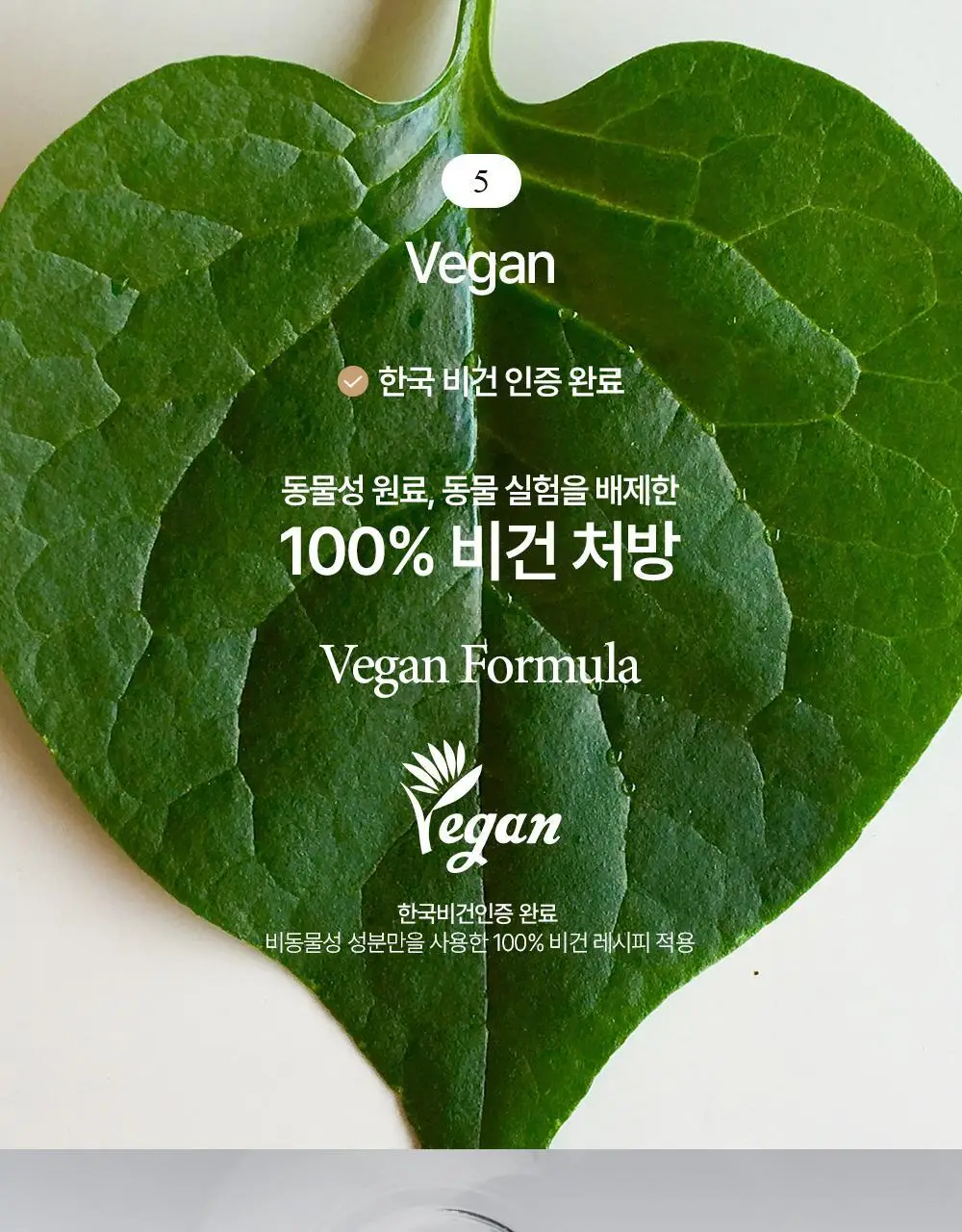 에센허브 티트리 90 클리어 바디 미스트 200ml 상세페이지 12