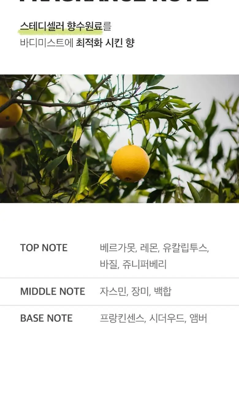 포르맨즈 블랙 바디미스트 허브시트러스향 220ml 상세페이지 7