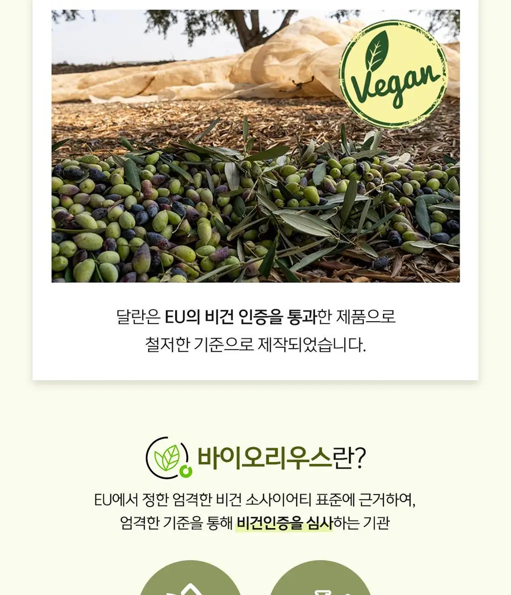 달란 디 올리브 리페러티브 바디오일 200ml 기획 (+핸드크림 20ml 증정) 상세페이지 14