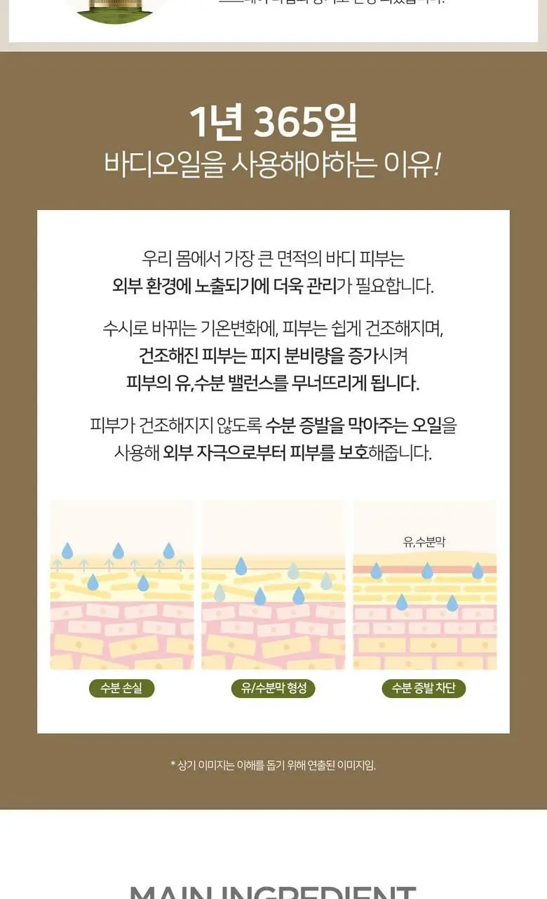 달란 디 올리브 리페러티브 바디오일 200ml 상세페이지 6