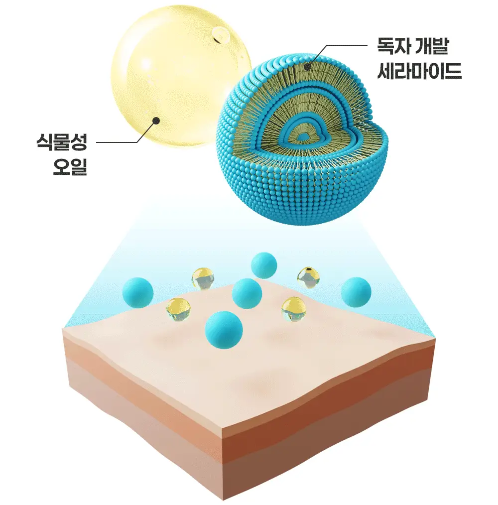 더마비 데일리 모이스처 바디오일 200ml 2종 택1 (피치/퍼플피그) 상세페이지 15
