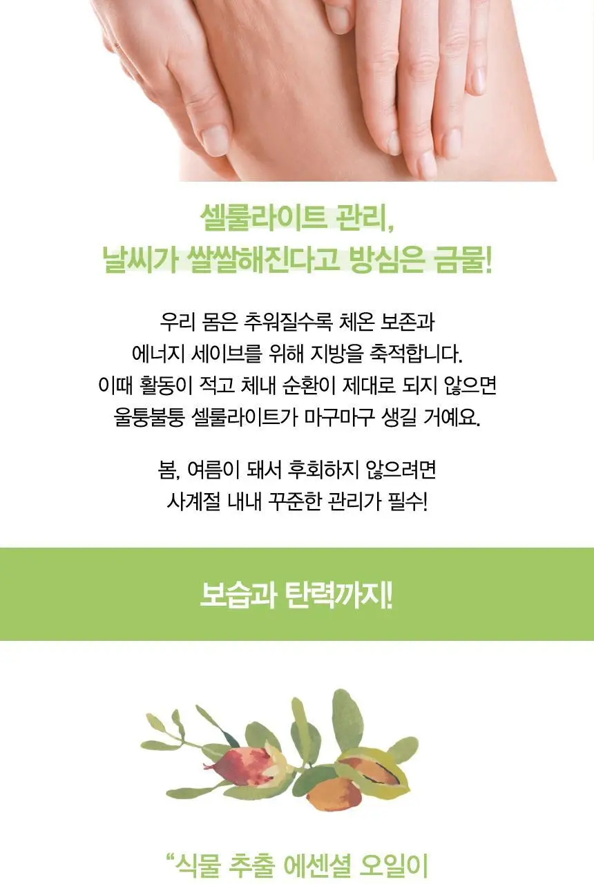 벨레다 버치 셀룰라이트 오일 100ml 상세페이지 4