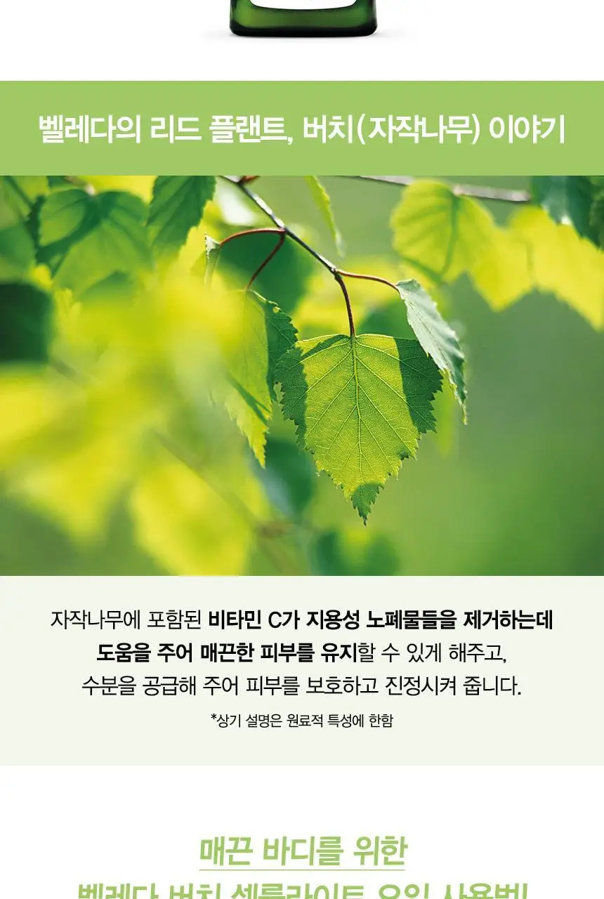 벨레다 버치 셀룰라이트 오일 100ml 상세페이지 7