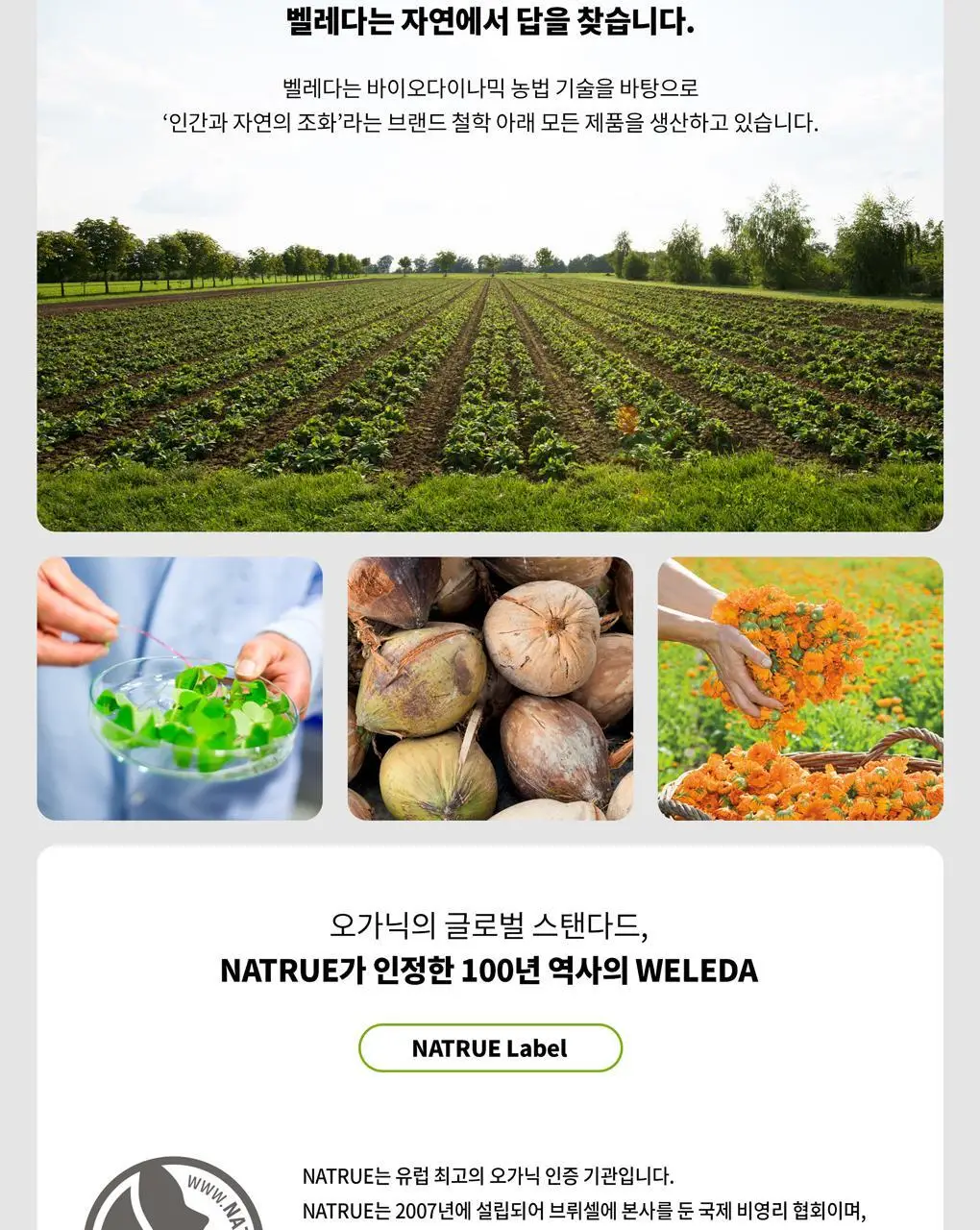벨레다 카렌듈라 베이비 오일 200ml (무향) 상세페이지 5