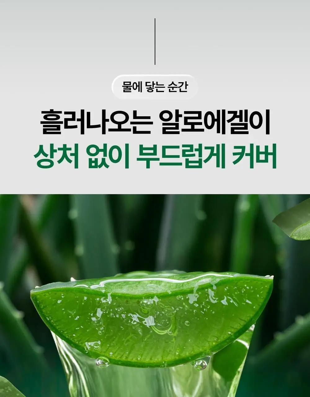 불독 오리지널 대나무 5중날 면도기(핸들1입+날2입) 상세페이지 7