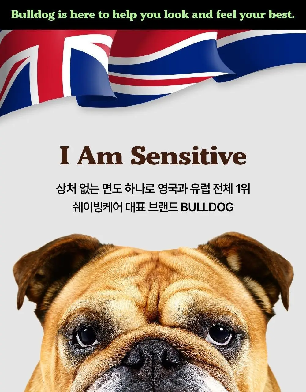 불독 오리지널 대나무 5중날 면도기(핸들1입+날2입) 상세페이지 24