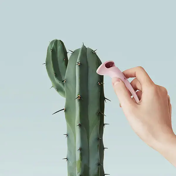 F3 세이프티 각질면도기