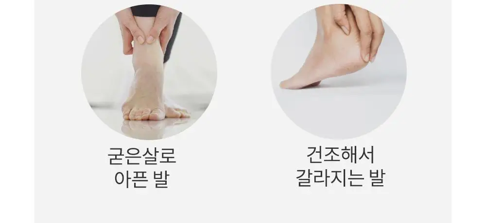 바렌 고래 풋 파일 상세페이지 4