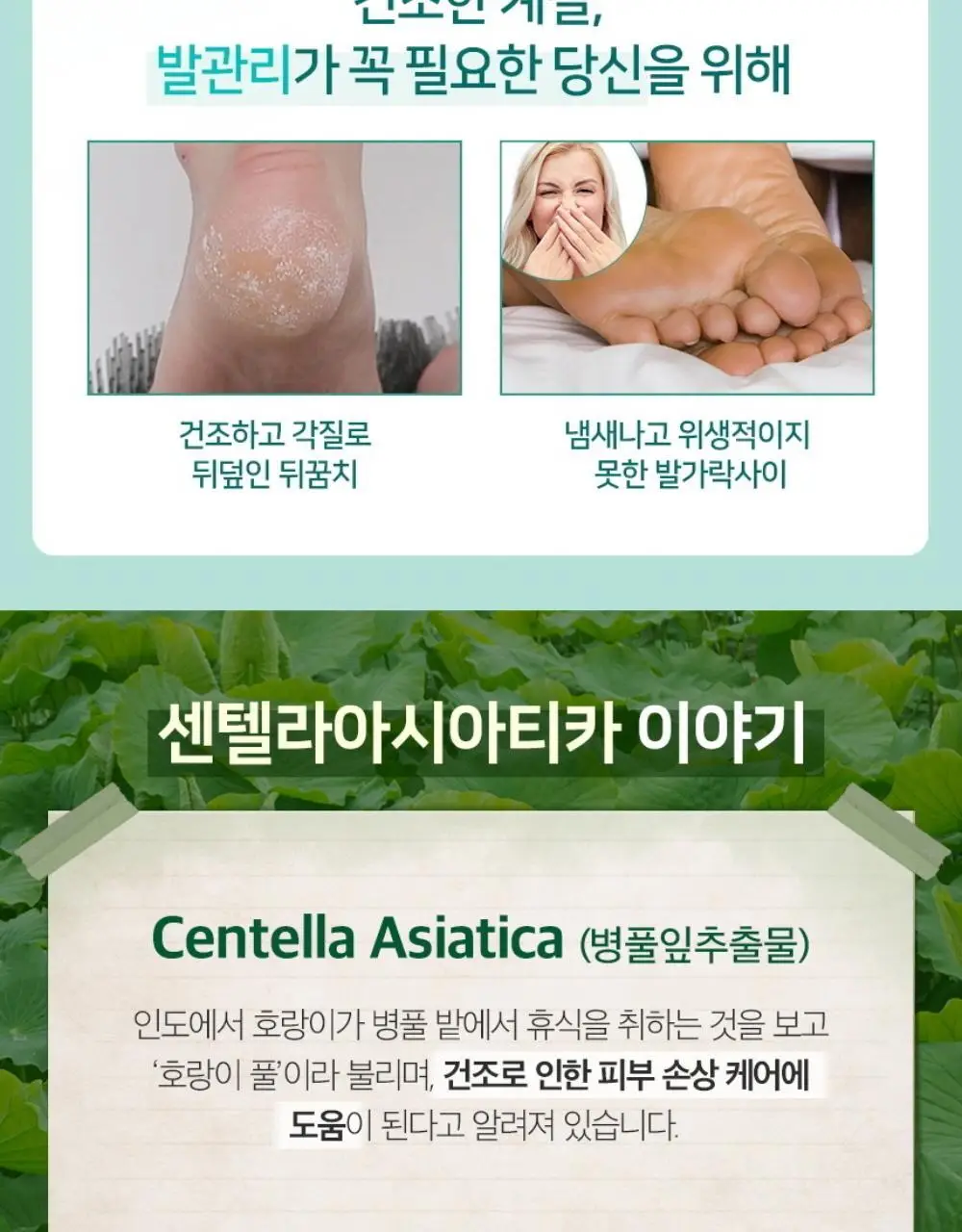 (풋크림 증정)온더바디 발을씻자 코튼 풋샴푸 510ml 트리플 기획 2종 택1(레몬/자몽) 상세페이지 47