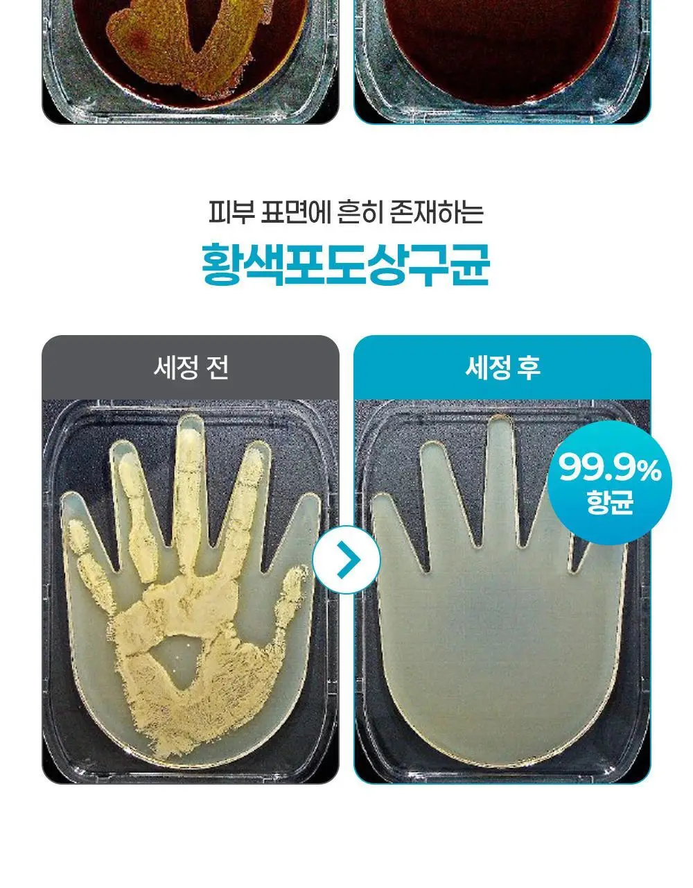 더마비 데일리 모이스처 포밍 핸드워시 500ml 상세페이지 9
