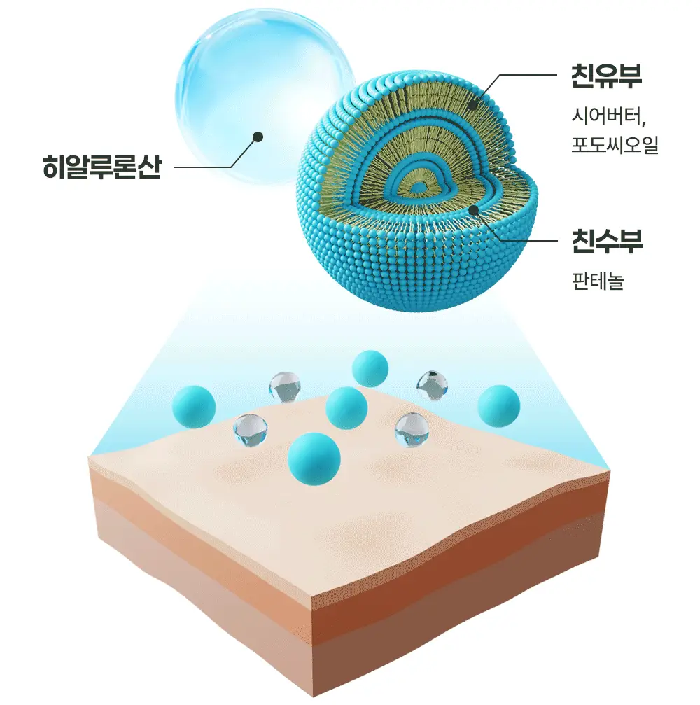 더마비 데일리 모이스처 포밍 핸드워시 500ml 상세페이지 15
