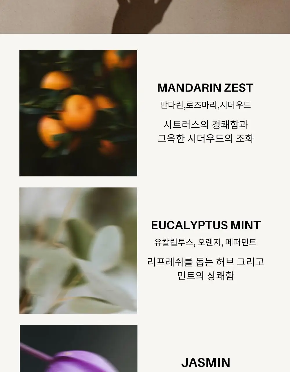 로즐린 센티드 핸드워시 3종 택 1 상세페이지 7