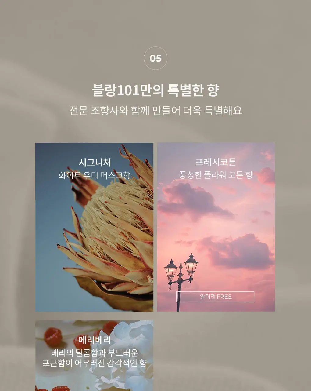 블랑101 퍼퓸 핸드워시 시그니처 280mL 상세페이지 14
