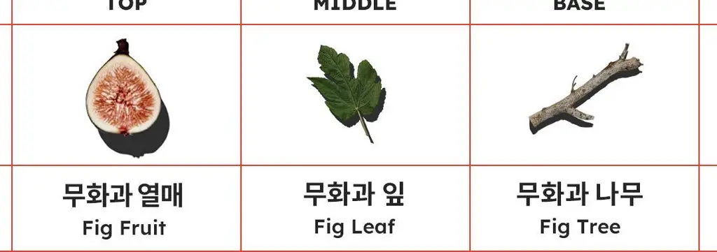 스카이보틀 퍼퓸 핸드워시 300ml 3종 상세페이지 12