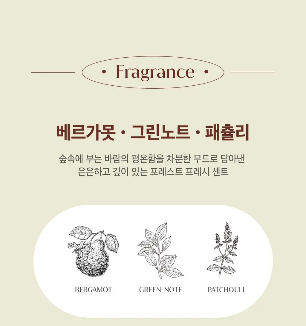 타입넘버 핸드워시 350ml 3종 상세페이지 7