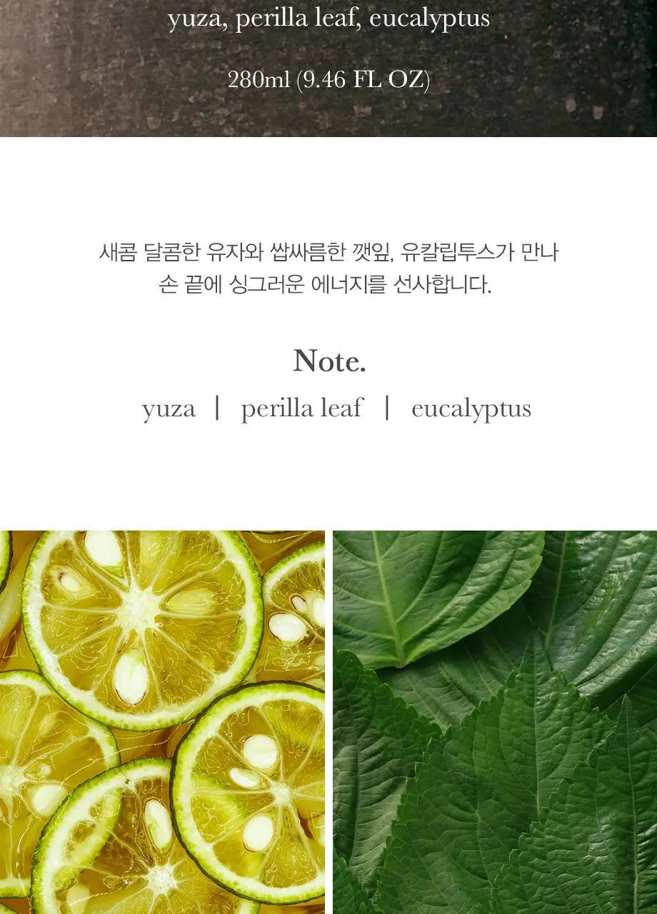 티컬렉티브 핸드워시 280ml 4종 택 1 (아르테미스/주노스/레이터/말차) 상세페이지 5