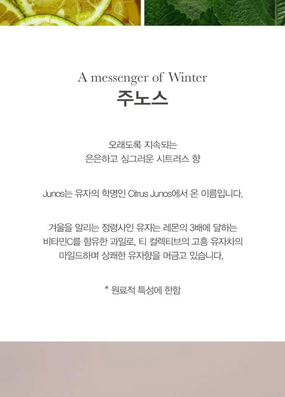 티컬렉티브 핸드워시 280ml 4종 택 1 (아르테미스/주노스/레이터/말차) 상세페이지 6