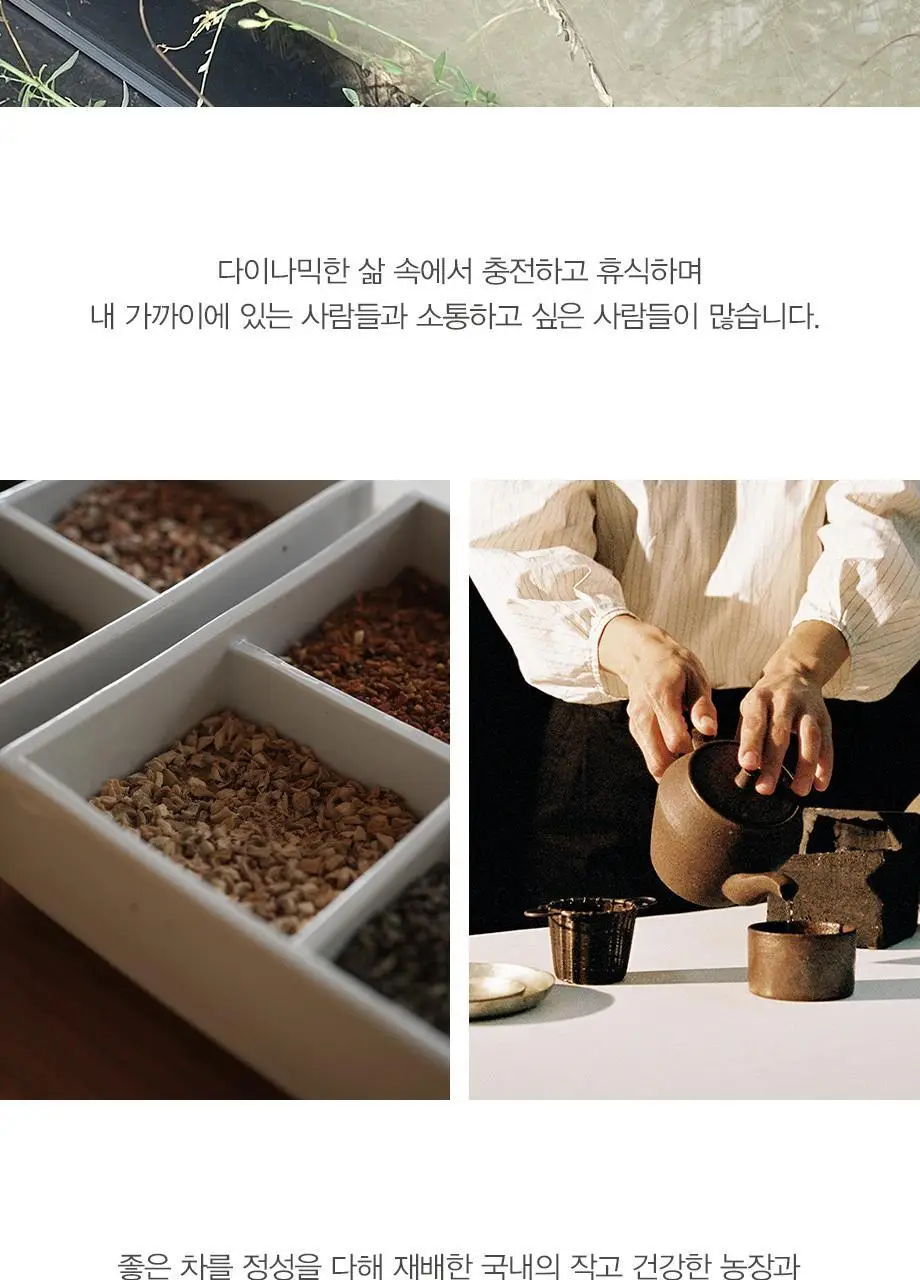 티컬렉티브 핸드워시 280ml 4종 택 1 (아르테미스/주노스/레이터/말차) 상세페이지 17