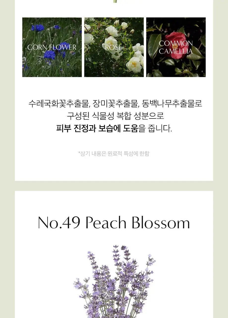W.DRESSROOM 퍼퓸 핸드워시 280ml (에이프릴코튼, 피치블러썸, 플라워샵) 상세페이지 12