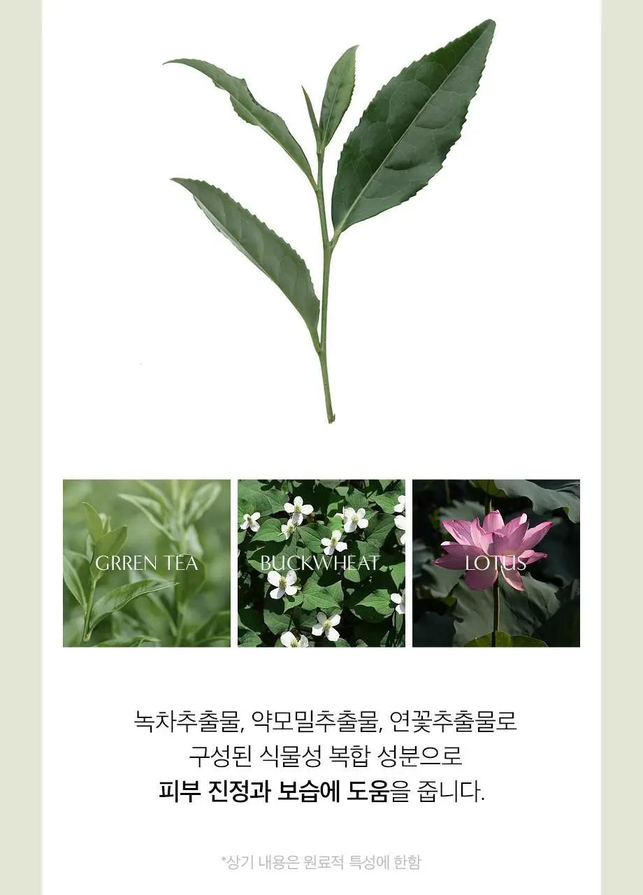 W.DRESSROOM 퍼퓸 핸드워시 280ml (에이프릴코튼, 피치블러썸, 플라워샵) 상세페이지 14